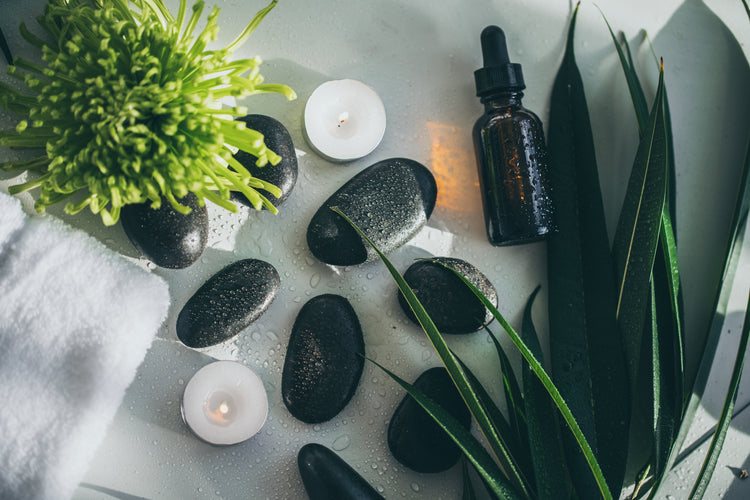 Body Care